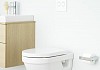 Унитаз подвесной Gustavsberg Hygienic Flush WWC 5G84HR01 безободковый № 2