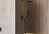 Шторка на ванну Teymi Anni S 1400х1000, тонированное стекло, профиль черный матовый, веревка для сушки одежды в комплекте F10111 № 3
