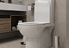 Унитаз напольный безободковый с быстросъемным сиденьем микролифт Teymi Aina T40205 № 7