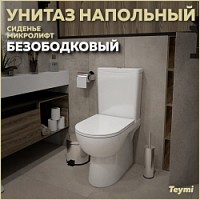 Превью фото Унитаз напольный безободковый с быстросъемным сиденьем микролифт Teymi Aina T40205 № 1