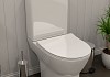 Унитаз напольный безободковый с быстросъемным сиденьем микролифт Teymi Ritta T40803 № 4
