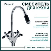 Превью фото Смеситель для кухни Эверест Ива с гибким изливом, черный B58-071F № 1
