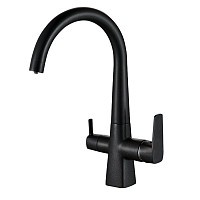 Превью фото Смеситель для кухни с фильтром Fashun Hit, черный № 1