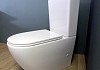 Унитаз напольный безободковый с быстросъемным сиденьем микролифт Teymi Lina T40103 № 5