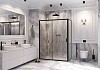 Душевое ограждение Ambassador Forsa 120x100x200 17021218AB-100AB № 2