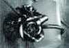 Стакан Art&Max Rose AM-0914-T серебро № 2