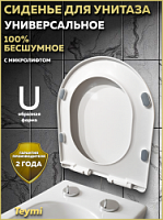 Превью фото Сиденье для унитаза Teymi S40117 (совместимо T40117) быстросъемное, микролифт № 1