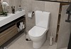 Унитаз напольный безободковый с быстросъемным сиденьем микролифт Teymi Aina T40205 № 8