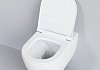 Унитаз подвесной Queen 113T20101R 570x360x400 БЕЛЫЙ матовый безободковый с тонкой крышкой № 6