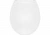 Сиденье для унитаза Teymi S40901 (совместимо T40901) полипропилен микролифт № 4
