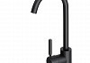 Смеситель для кухни черный матовый Teymi Iva T10265 № 8