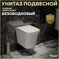 Превью фото Унитаз подвесной безободковый с быстросъемным сиденьем микролифт Teymi Helmi S T40302 № 1