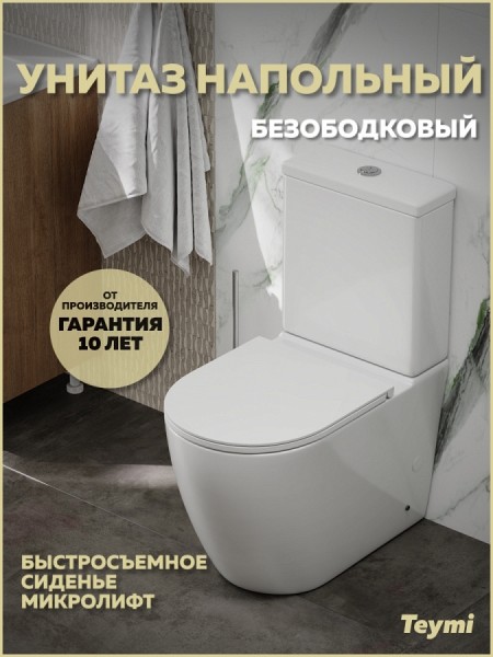 Унитаз напольный безободковый с быстросъемным сиденьем микролифт Teymi Lina R T40120
