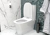 Унитаз напольный безободковый с быстросъемным сиденьем микролифт Teymi Ellie T40801 № 5