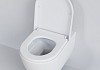 Унитаз подвесной Queen 113T20101R 570x360x400 БЕЛЫЙ матовый безободковый с толстой крышкой № 3