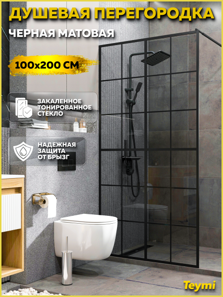 Душевая перегородка 100x200 стекло тонированное закаленное профиль черный матовый Teymi Helmi T00308