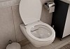 Комплект 5 в 1: Инсталляция Loranto 51 + клавиша Loranto Line Хром + унитаз Teymi Hanna Pro F01135 № 8