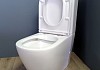 Унитаз напольный безободковый с быстросъемным сиденьем микролифт Teymi Lina T40103 № 6
