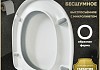 Сиденье для унитаза Teymi S40502 (совместимо T40502) быстросъемное дюропласт микролифт