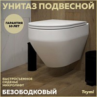 Превью фото Унитаз подвесной безободковый с быстросъемным сиденьем микролифт Teymi Demi T40208 № 1