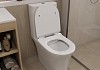 Унитаз напольный безободковый с быстросъемным сиденьем микролифт Teymi Ritta Pro T40810 № 6