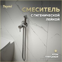 Превью фото Смеситель с гигиеническим душем хром Teymi Lina T10229 № 1