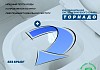 Комплект инсталляция Teymi Rapid SL с кнопкой GROHE золото глянец + унитаз ТОРНАДО Martta Vortex F17602 № 8