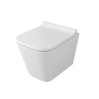 Превью фото Унитаз подвесной Azario Mona безободковый 505x360x370 мм с сиденьем микролифт AZ-0057 № 1