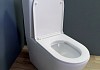 Унитаз напольный безободковый с быстросъемным сиденьем микролифт Teymi Lina T40103 № 8