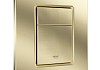 Комплект инсталляция Teymi Rapid SL с кнопкой GROHE золото матовое + унитаз Hanna F17898 № 10