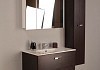 Комплект мебели для ванной Roca Victoria Nord 80 венге  № 2