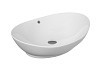 Комплект Teymi 3 в 1 для ванной: раковина Lori 60 накладная + выпуск Teymi с переливом белый + сифон хром F07538 № 5