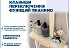 Душевая система с тропическим душем и смесителем Teymi Lina Forte слоновая кость T10274 № 9