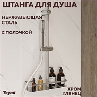 Превью фото Штанга для душа с мыльницей Teymi Lina, глянцевый хром T10238 № 1