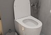 Унитаз подвесной торнадо безободковый с быстросъемным сиденьем микролифт Teymi Lori Vortex 3 поколения T40506 № 4