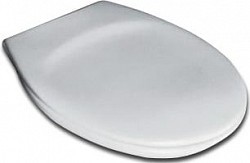 Превью фото Крышка-сиденье Ideal Standard Ecco W302601 петли хром № 1