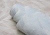 Обои горячего тиснения Anturage Gerbarium 10,05х1,06 AN8655-11 № 9