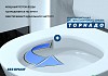 Комплект инсталляция Teymi Rapid SL с кнопкой GROHE золото глянец + унитаз ТОРНАДО Solli Pro Vortex F17620 № 8