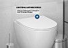 Комплект инсталляция Teymi Rapid SL с кнопкой GROHE белая + унитаз ТОРНАДО Lina Vortex 3 пок F17499 № 5