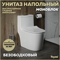 Превью фото Унитаз напольный моноблок безободковый с быстросъемным сиденьем микролифт Teymi Solli T41101 № 1