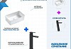 Раковина накладная для ванной Teymi Helmi Mini 38 в комплекте смеситель высокий черный матовый F07292 № 2