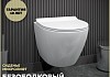 Унитаз подвесной безободковый с быстросъемным сиденьем микролифт Teymi Lina Pro T40106
