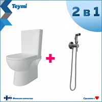 Превью фото Комплект Teymi 2 в 1: Унитаз напольный Aina безободковый с гигиеническим душем Lina хром F10123 № 1