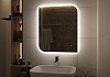 Зеркало настенное с подсветкой в ванную Teymi Lempi Oreol Pro 60х80 LED сенсор T20269 T20269 № 4
