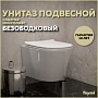 Унитаз подвесной безободковый с быстросъемным сиденьем микролифт Teymi Solli Pro T40202