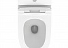 Унитаз напольный безободковый с быстросъемным сиденьем микролифт Teymi Ellie T40801 № 11