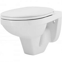 Превью фото Унитаз подвесной Rosa Рио с сиденьем № 1