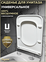 Превью фото Сиденье для унитаза Teymi S40308 (совместимо T40308) быстросъемное, дюропласт, микролифт № 1