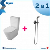 Превью фото Комплект Teymi 2 в 1: Унитаз напольный Solli безободковый с гигиеническим душем Lina хром F10117 № 1