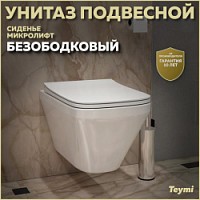 Превью фото Унитаз подвесной безободковый с быстросъемным сиденьем микролифт Teymi Kati T40701 № 1